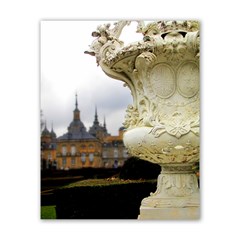 Vase In Palace Garden Poster 16  X 20 