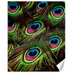 Peacock-feathers-plumage-pattern Canvas 16  X 20  by Sapixe