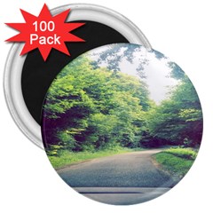 Photo Vue Sur Forêt  3  Magnets (100 Pack) by kcreatif