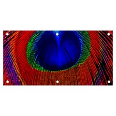 Peacock Plumage Fearher Bird Pattern Banner And Sign 6  X 3  by Sapixe