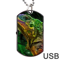 Chameleon Reptile Lizard Animal Dog Tag Usb Flash (two Sides) by Wegoenart