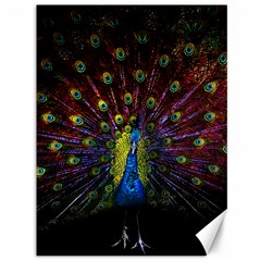 Beautiful Peacock Feather Canvas 36  X 48 