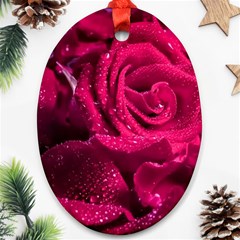 Water Rose Pink Background Flower Oval Ornament (two Sides) by Ravend