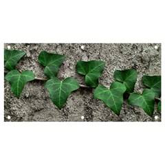 Vine On Damaged Wall Photo Banner And Sign 4  X 2  by dflcprintsclothing