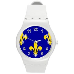 Ile De France Flag Round Plastic Sport Watch (m) by tony4urban