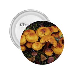 Orange Mushrooms In Patagonia Forest, Ushuaia, Argentina 2 25  Buttons by dflcprintsclothing