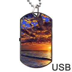 Orange Sunburst Dog Tag Usb Flash (two Sides) by GardenOfOphir