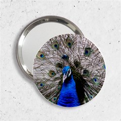 Peacock Bird Animal Feather Nature Colorful 2 25  Handbag Mirrors by Ravend