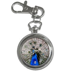 Peacock Bird Animal Feather Nature Colorful Key Chain Watches by Ravend