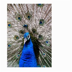 Peacock Bird Animal Feather Nature Colorful Large Garden Flag (two Sides) by Ravend