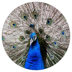 Peacock Bird Animal Feather Nature Colorful Round Trivet by Ravend