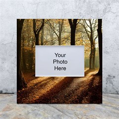 Autumn Nature Woodland Woods Trees White Box Photo Frame 4  X 6  by Jancukart