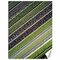 Field Agriculture Farm Stripes Diagonal Canvas 36  X 48 