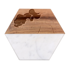 2 20230504 230106 0001 Marble Wood Coaster (hexagon)  by Fhkhan22