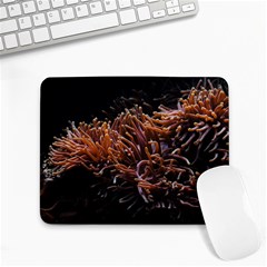 Sea Anemone Coral Underwater Ocean Sea Water Small Mousepad by pakminggu