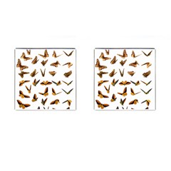 Butterfly Butterflies Insect Swarm Cufflinks (square) by 99art