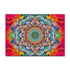 Mandalas Psychedelic Sticker A4 (100 Pack) by Cowasu