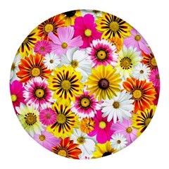 Flowers Blossom Bloom Nature Plant Round Glass Fridge Magnet (4 Pack) by Amaryn4rt