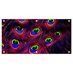 Peacock Feathers Color Plumage Banner And Sign 4  X 2  by Celenk