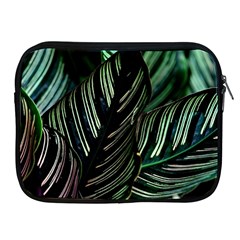 Calathea Leaves Strippe Line Apple Ipad 2/3/4 Zipper Cases by Ravend