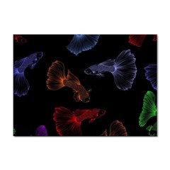 Vector Aquarium Guppies Seamless Fish Pattern With Black Background Sticker A4 (10 Pack) by Grandong