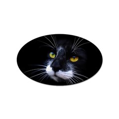 Face Black Cat Sticker Oval (100 Pack) by Ket1n9