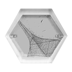 Sunlight Filtering Through Transparent Leaves Green Blue Hexagon Wood Jewelry Box by Ket1n9