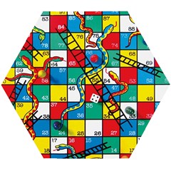 Snakes And Ladders Wooden Puzzle Hexagon by Ket1n9