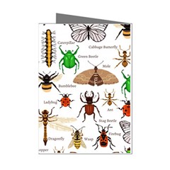 Insects-seamless-pattern Mini Greeting Cards (pkg Of 8) by Amaryn4rt