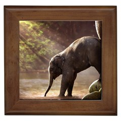 Baby Elephant Watering Hole Framed Tile by Sarkoni