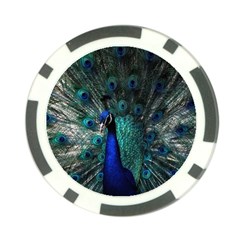 Blue And Green Peacock Poker Chip Card Guard by Sarkoni