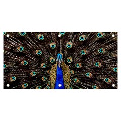 Peacock Banner And Sign 6  X 3  by Ket1n9