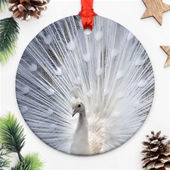 White Peacock Bird Ornament (round) by Ndabl3x