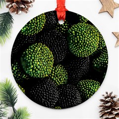 Berry,note, Green, Raspberries Ornament (round) by nateshop