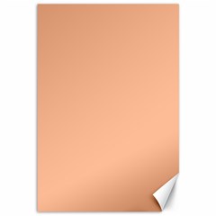 Peach Fuzz 2024 Canvas 12  X 18  by dressshop