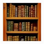 Room Interior Library Books Bookshelves Reading Literature Study Fiction Old Manor Book Nook Reading Medium Glasses Cloth (2 Sides) Front