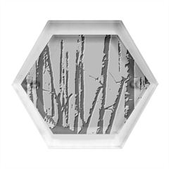 Woodland Woods Forest Trees Nature Outdoors Mist Moon Background Artwork Book Hexagon Wood Jewelry Box by Posterlux