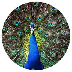 Peacock Bird Feathers Pheasant Nature Animal Texture Pattern Round Trivet by Bedest