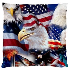 United States Of America Images Independence Day 16  Baby Flannel Cushion Case (two Sides)