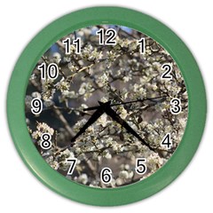 Pear Tree In Full Bloom Color Wall Clock by ExtraAwesomeSauce