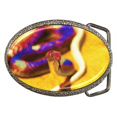 Vibrant Forked-tongue Snake Art Belt Buckles by ExtraAwesomeSauce