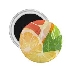 Citrus Fruit Healthy Vitamin 2 25  Magnets by Paksenen