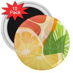 Citrus Fruit Healthy Vitamin 3  Magnets (10 Pack)  by Paksenen