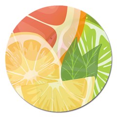 Citrus Fruit Healthy Vitamin Magnet 5  (round) by Paksenen