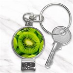 Kiwi Fruits, Close-up, Exotic Fruit Nail Clippers Key Chain Front