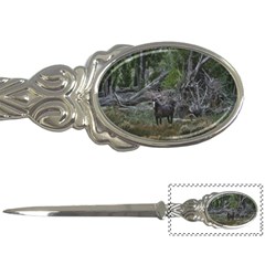 Meadow Landscape, Los Altares, Chubut Province, Argentina Letter Opener by dflcprintsclothing