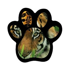 Tiger Magnet (paw Print)