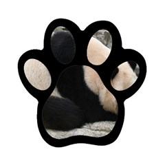 Giant Panda Magnet (paw Print)