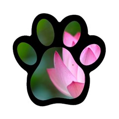 Red Pink Flower Magnet (paw Print)