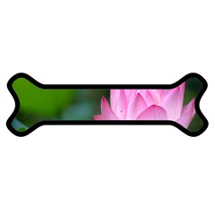 Red Pink Flower Magnet (dog Bone)